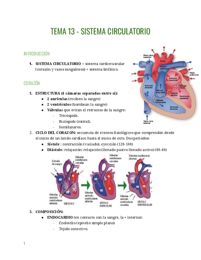 Miniatura del documento TEMA-13-SISTEMA-CIRCULATORIO.pdf