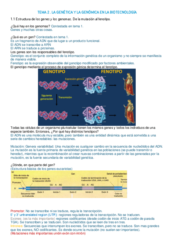 Miniatura del documento TEMA-2-EXAMEN-1.pdf
