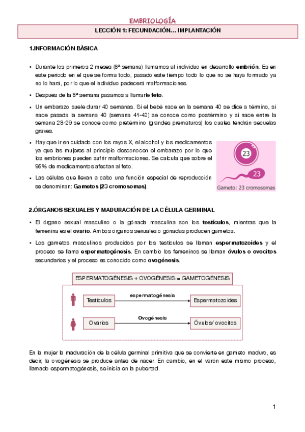 Miniatura del documento embriologia-L1-4.pdf