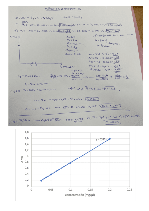 Miniatura del documento practica-2-bioq.pdf
