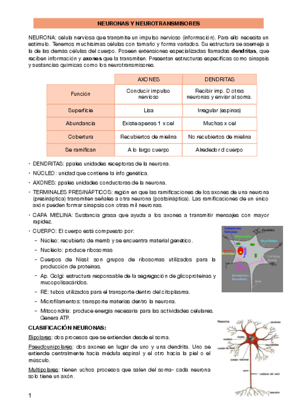 Miniatura del documento seminario-4-fisio.pdf