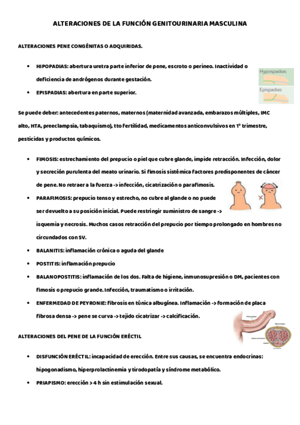 Miniatura del documento FISIOPATO-ALTERACIONES-GENITOURINARIAS.pdf