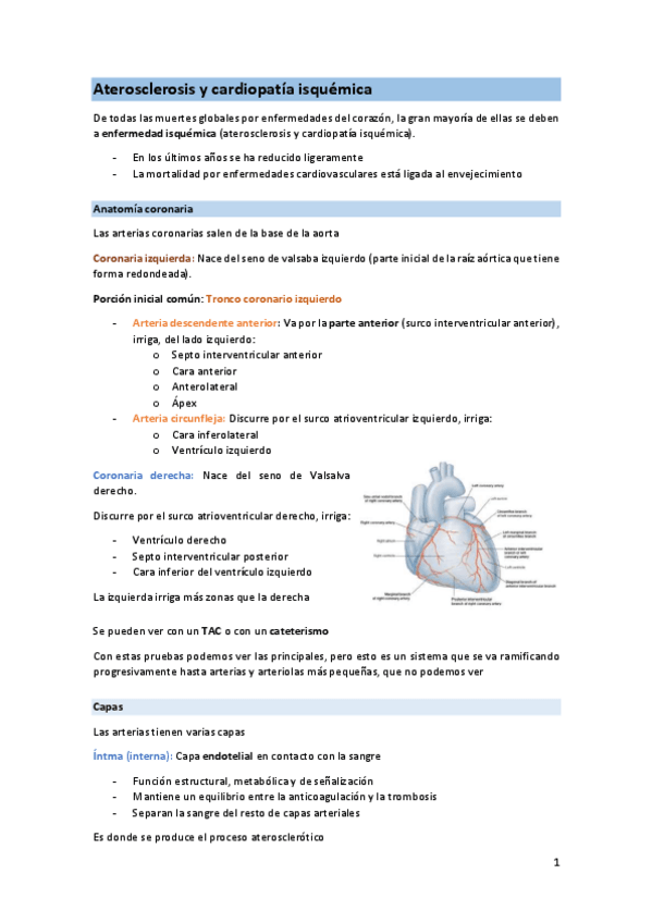 Miniatura del documento Seminario-cardio.pdf