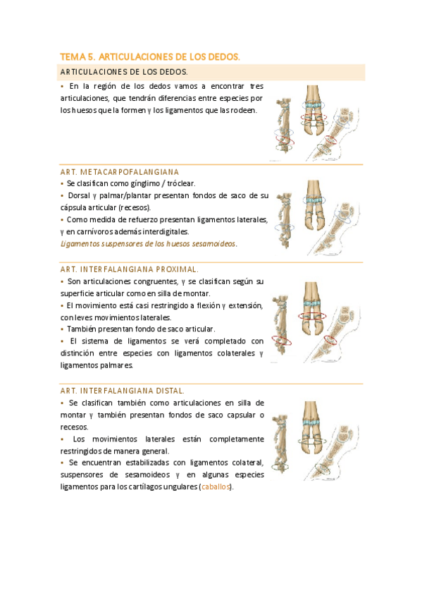 Miniatura del documento Tema-5.-Articulaciones-de-los-dedos.pdf