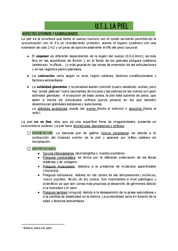 Miniatura del documento T1.-LA-PIEL.pdf