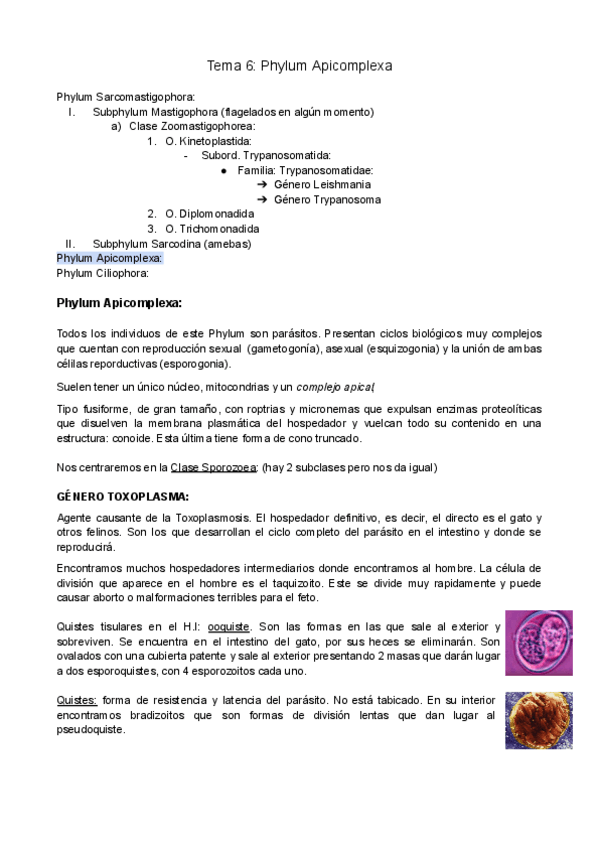 Miniatura del documento Tema-6-Phylum-Apicomplexa.pdf