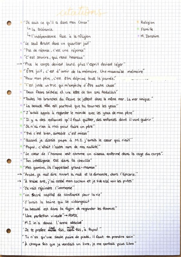 Miniatura del documento Citations-Monsieur-Ibrahim-et-les-fleurs-du-Coran.pdf