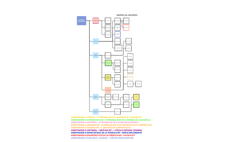 Miniatura del documento RAMAS-A-SUBCLAVIA.pdf