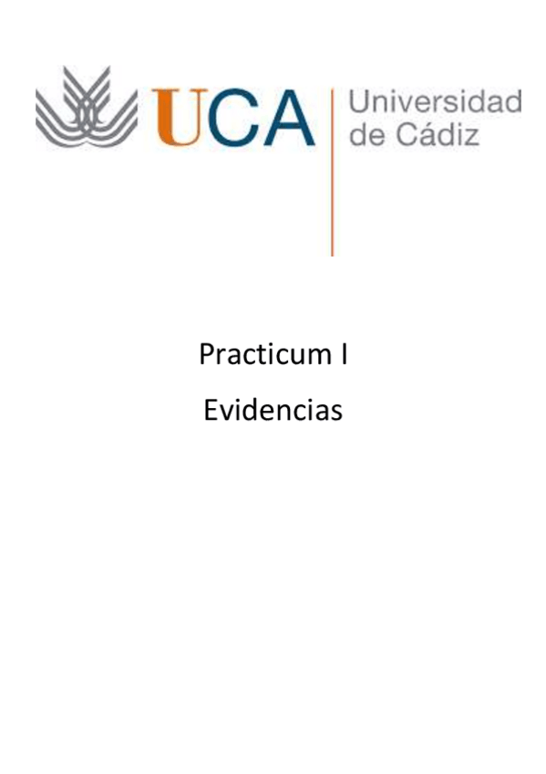 Miniatura del documento Evidencias.pdf