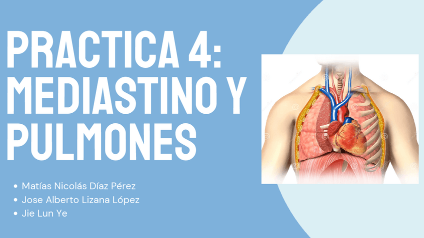 Miniatura del documento Practica-4-mediastino-y-pulmones.pdf