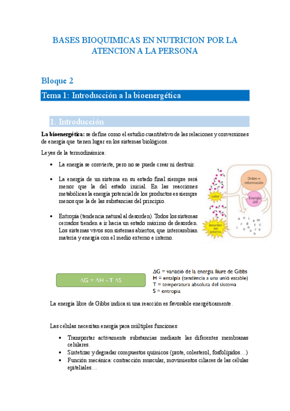 Miniatura del documento apuntes-bioquimica-y-nutricion.pdf