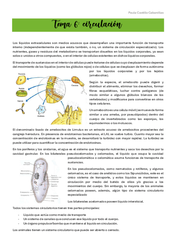 Miniatura del documento Tema-6-Wuolah.pdf