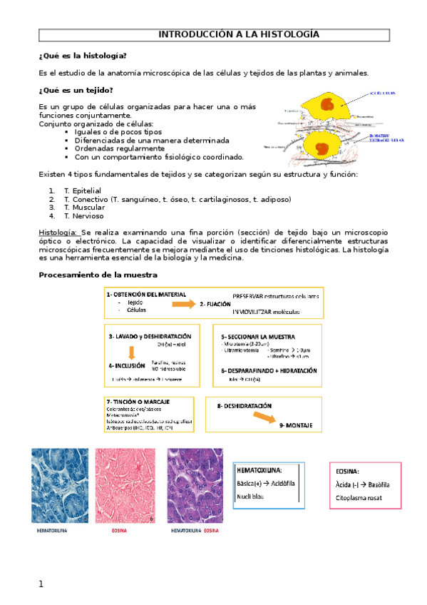 Miniatura del documento Apuntes-EFCI.docx
