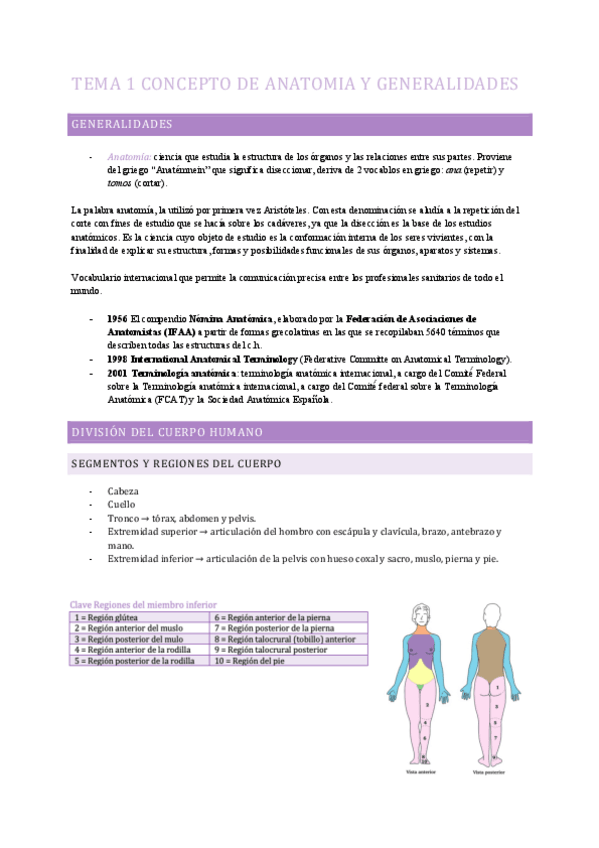 Miniatura del documento APUNTES-ANATOMIA-HUMANA-TEMA-1.pdf