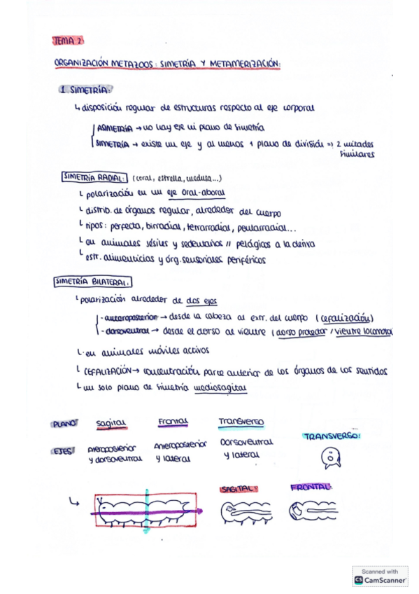 Miniatura del documento Temas-2-3-y-4-Zoologia.pdf