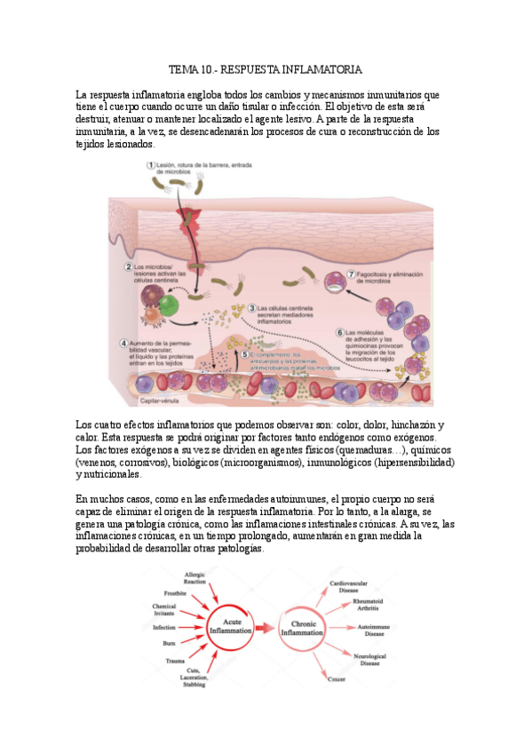 Miniatura del documento Tema-10.-Respuesta-inflamatoria.pdf