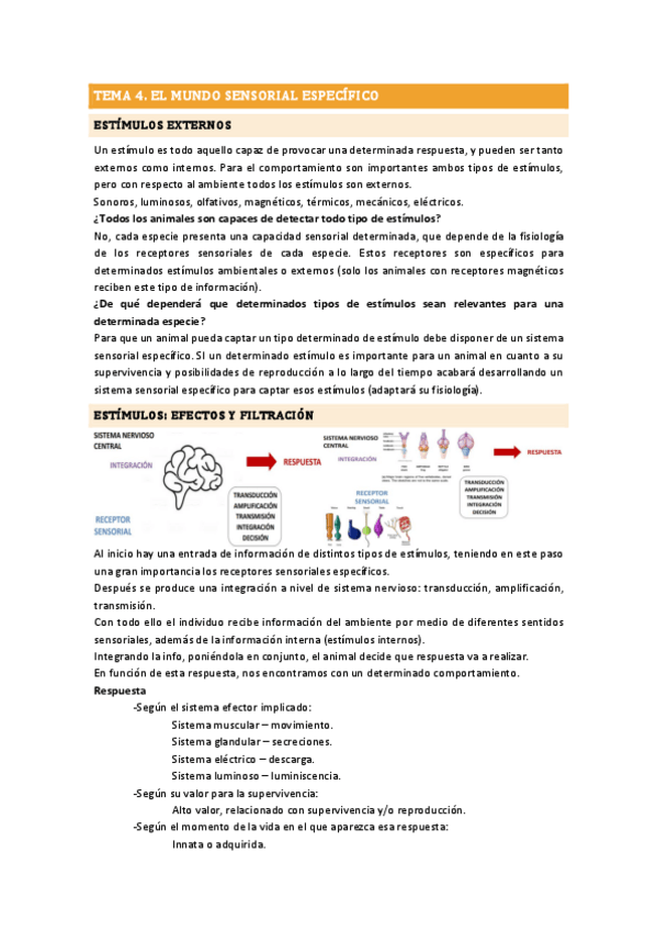Miniatura del documento TEMA 4 ETOLOGÍA.pdf