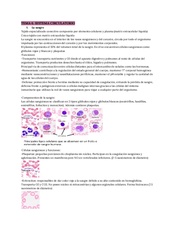 Miniatura del documento Apuntes-T.6.pdf