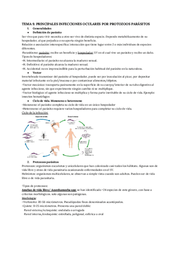Miniatura del documento Apuntes-T.9.pdf