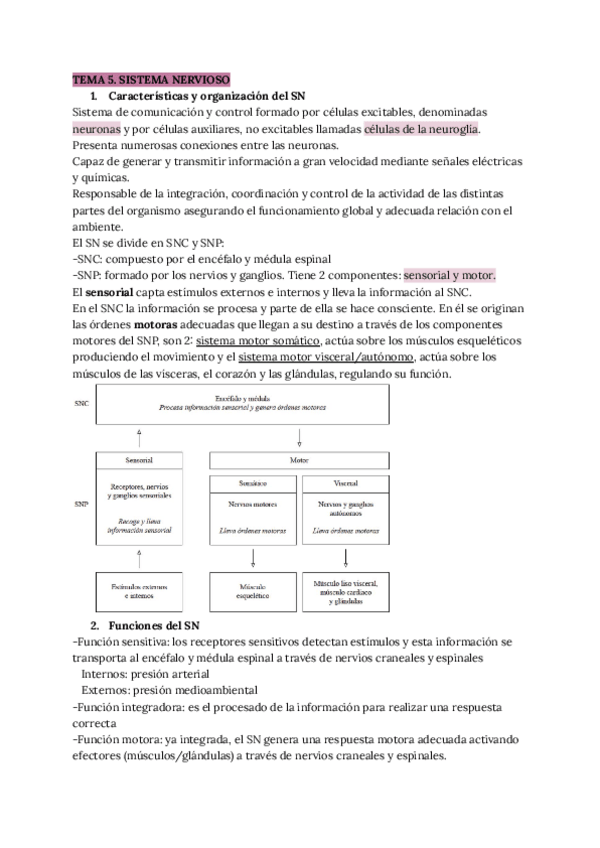 Miniatura del documento Apuntes-T.5.pdf