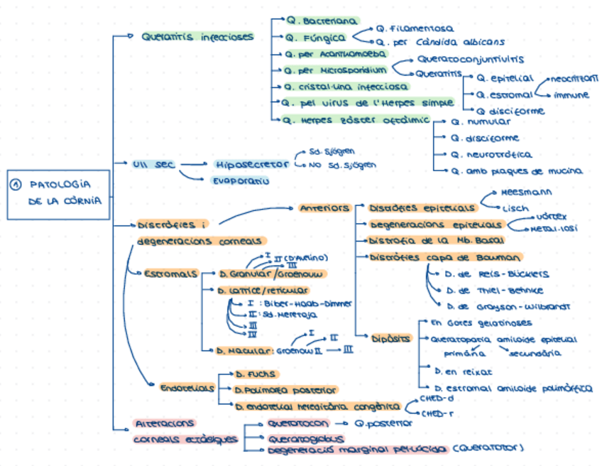Miniatura del documento Esquemas-1-parcial.pdf