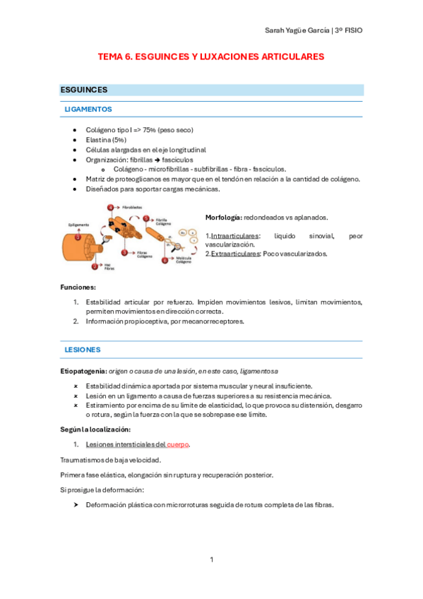 Miniatura del documento T6-Esguinces-y-luxaciones-articulares.pdf