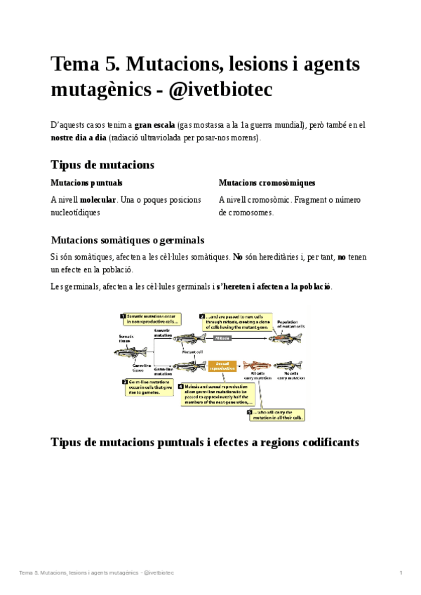 Miniatura del documento Tema-5Genetica-molecular.pdf