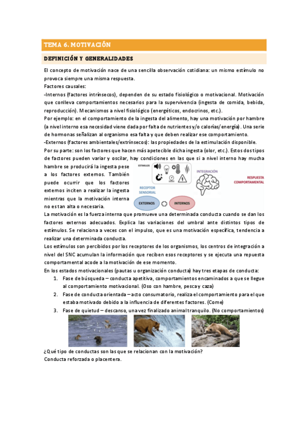 Miniatura del documento TEMA 6 ETOLOGÍA.pdf