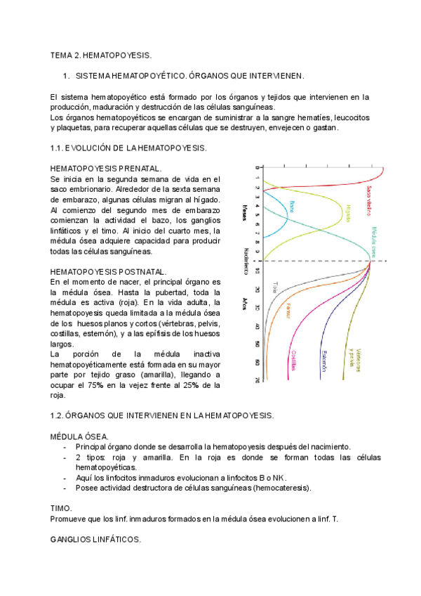 Miniatura del documento TEMA-2.-HEMATOPOYESIS.pdf