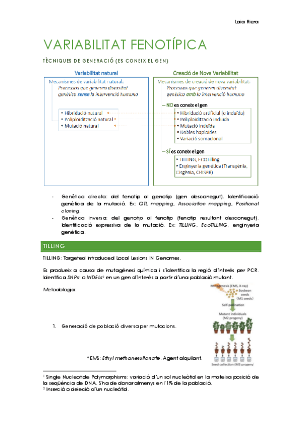 Miniatura del documento 4.1.-Variabilitat-fenotipica-2.pdf