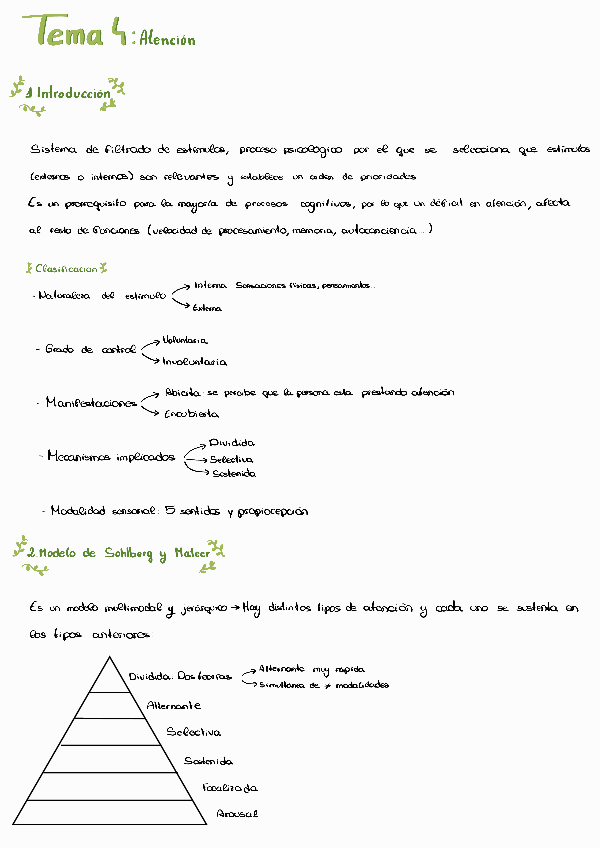 Miniatura del documento Tema-4-Atencion.pdf