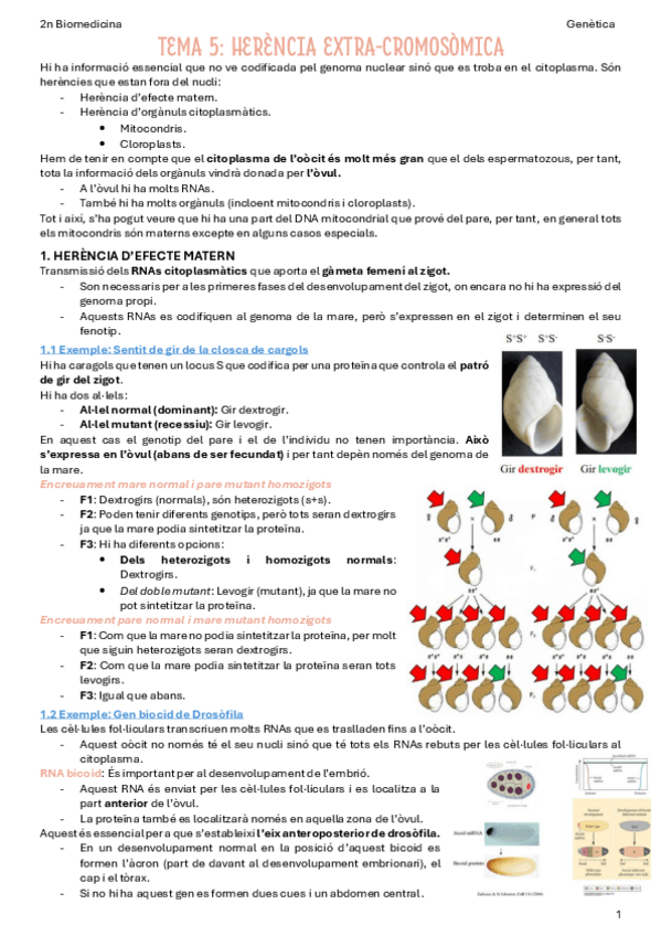 Miniatura del documento T5-Herencia-extra-cromosomica.pdf