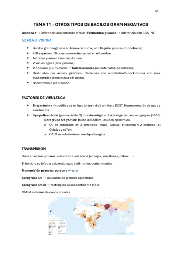Miniatura del documento T-11-y-12-BGN-NF-y-otros-BGN.pdf