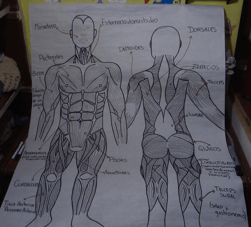 Miniatura del documento IMG-20230504-WA0000.jpg