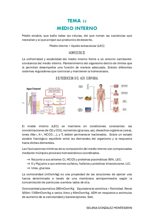 Miniatura del documento TEMA-22-pdf.pdf