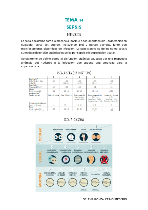 Miniatura del documento TEMA-24-pdf.pdf