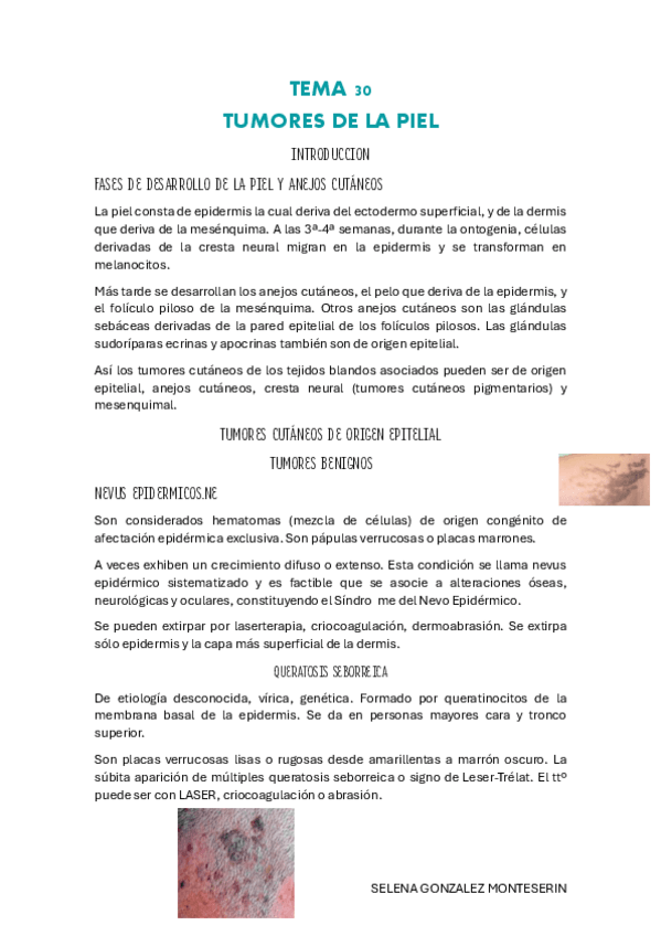 Miniatura del documento TEMA-30-pdf.pdf