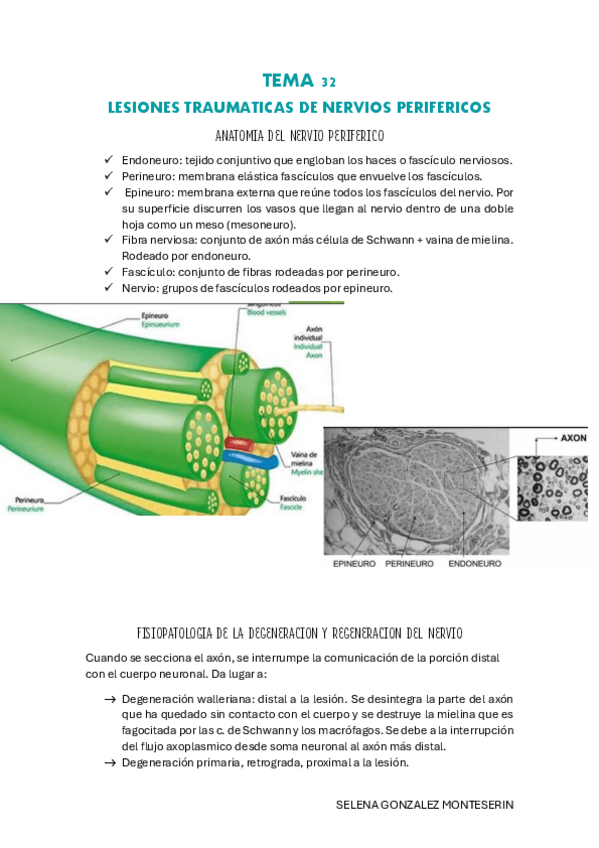 Miniatura del documento TEMA-32-pdf.pdf