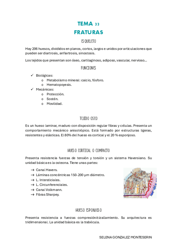 Miniatura del documento TEMA-33-pdf.pdf