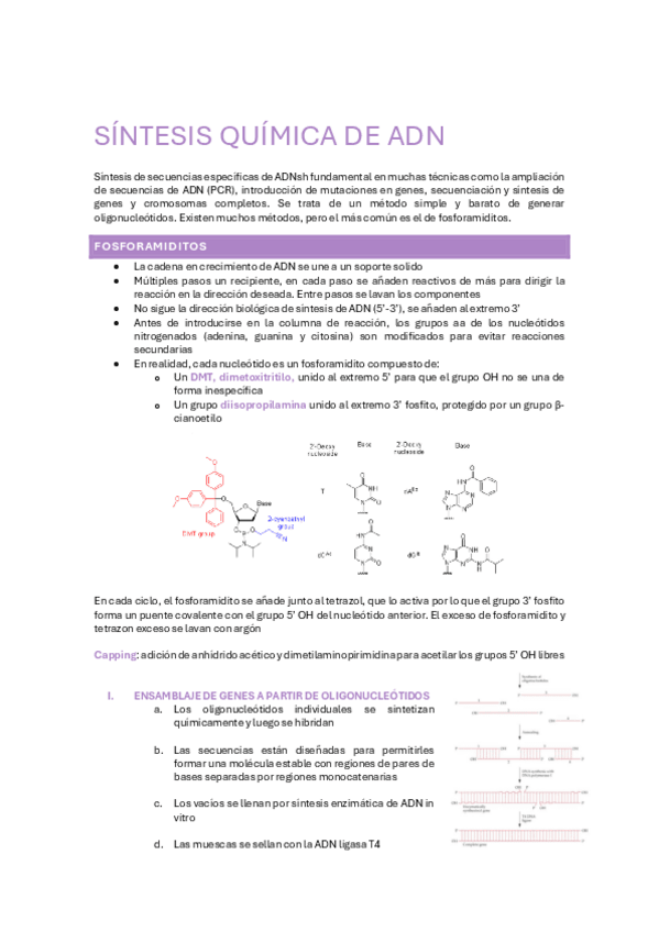 Miniatura del documento TEMA-5-SINTESIS-QUIMICA-DE-ADN.pdf
