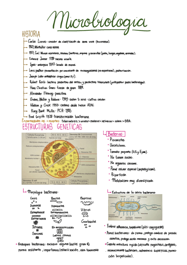 Miniatura del documento Microbiologia-apuntes.pdf
