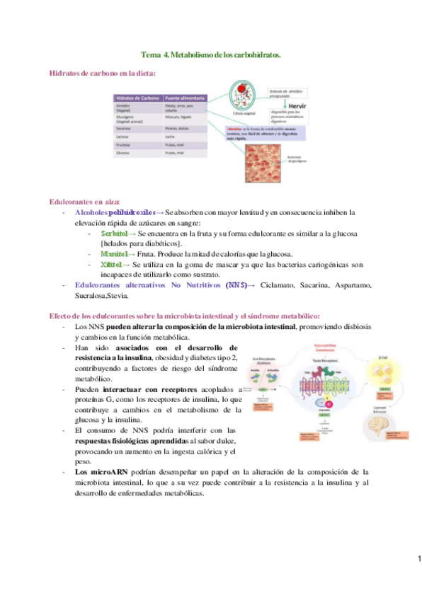 Miniatura del documento Tema-4.-Metabolismo-de-carbohidratosremoved.pdf