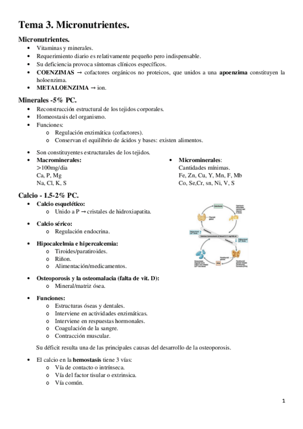Miniatura del documento Tema-3.-Micronutrinetes.pdf