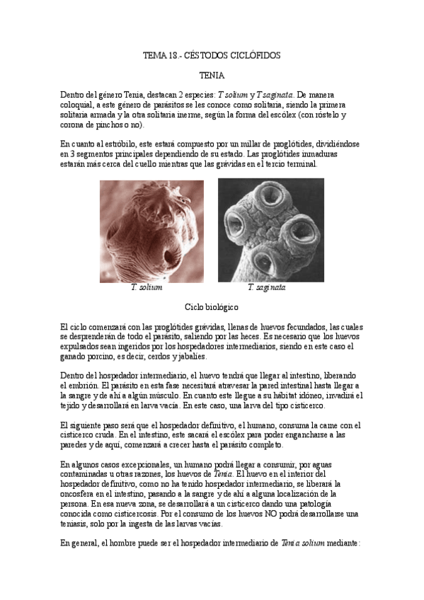 Miniatura del documento Tema-18.-Cestodos-Ciclofidos.pdf