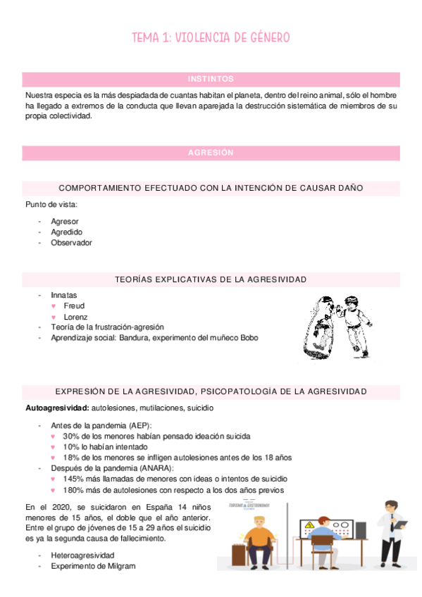 Miniatura del documento T1-Violencia-de-genero.pdf