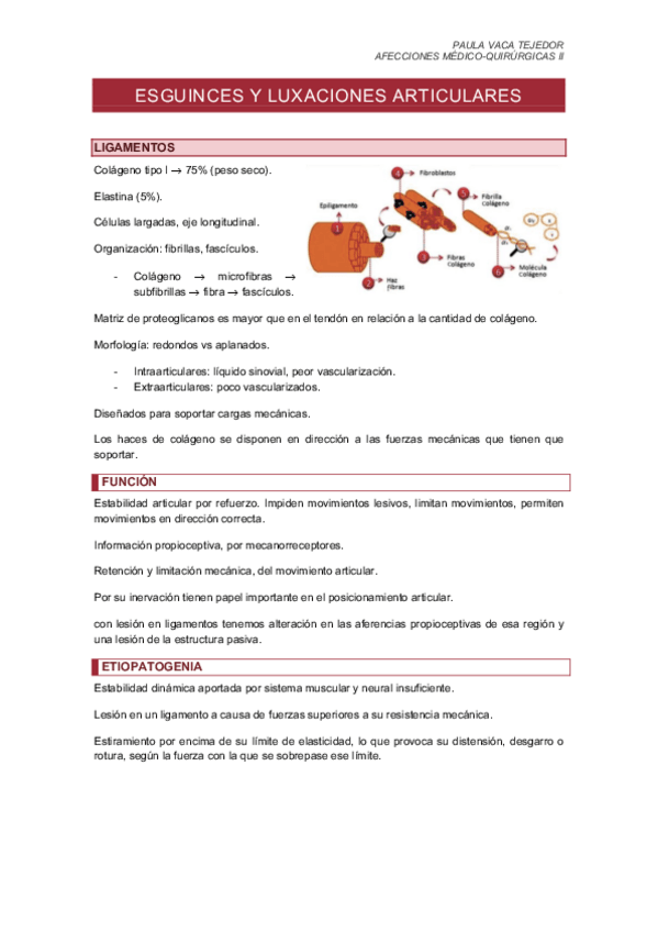 Miniatura del documento TEMA-6.-ESGUINCES-Y-LUXACIONES-ARTICULARES.pdf