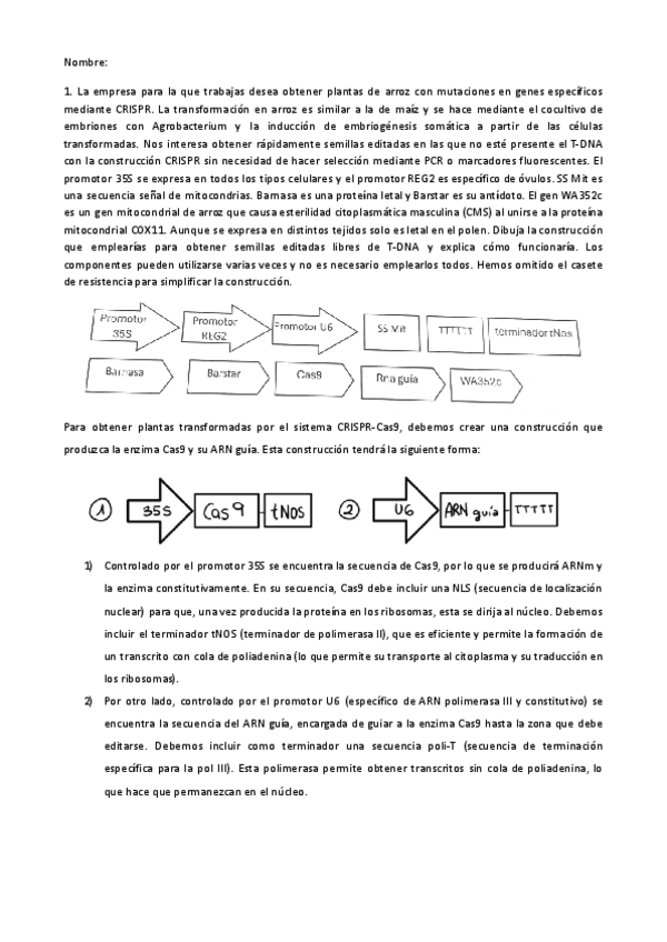 Miniatura del documento Examen-Parcial-2024.pdf