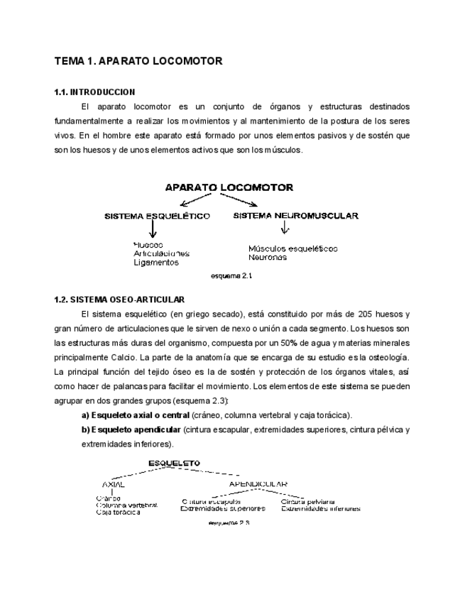 Miniatura del documento TEMA-1.Aparato-locomotor.pdf