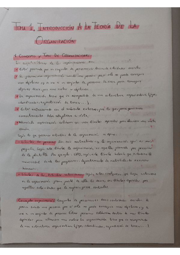 Miniatura del documento Tema-1-teoria-de-la-organizacion.pdf