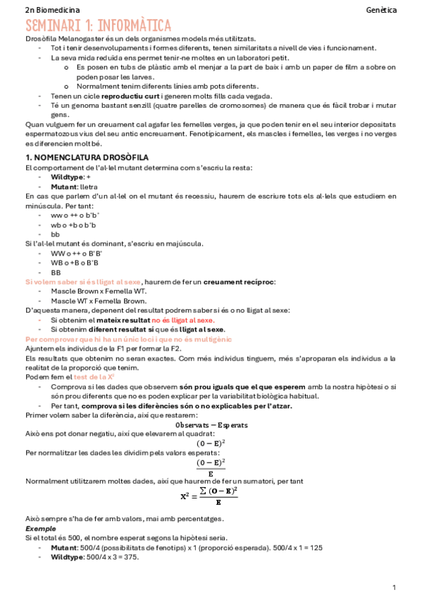 Miniatura del documento Seminari-1-Genetica.pdf